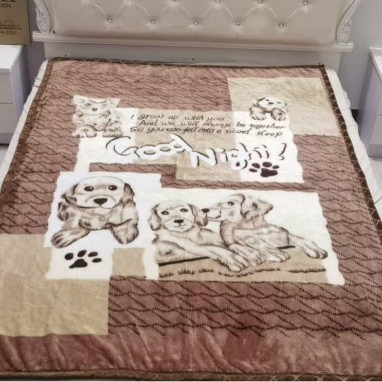 Wholesale Autumn-Winter Double-Layer Thickened Raschel Printed Blanket 1.7m Office Nap Fleece Blanket Cartoon Print