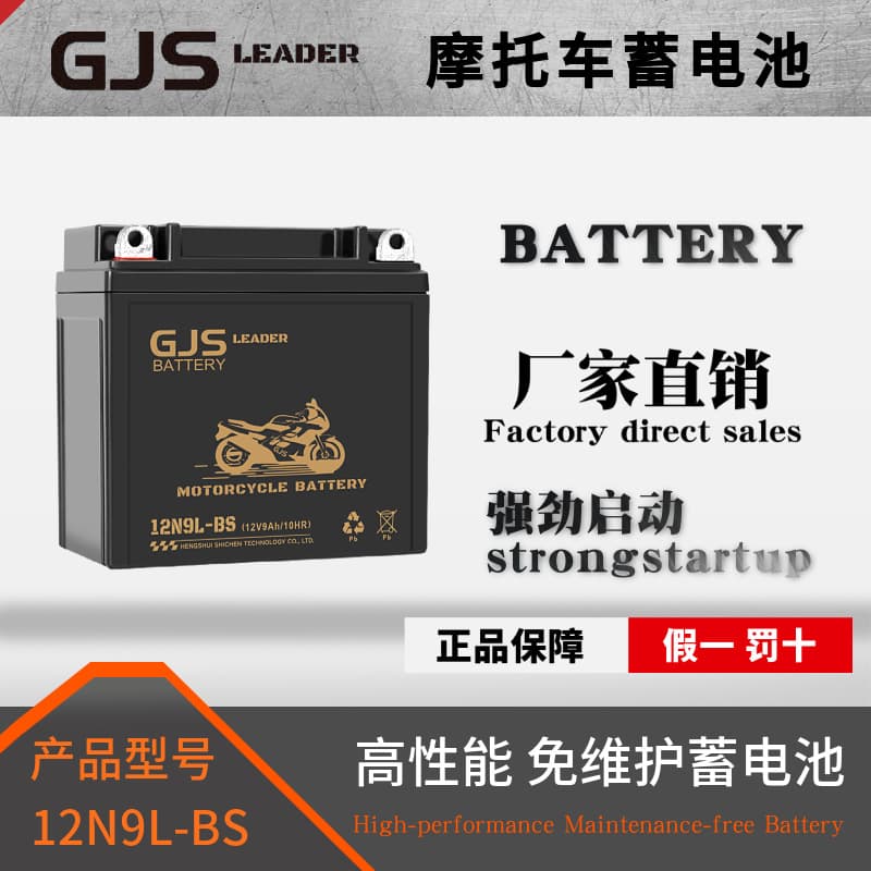 Custom Orders for Complete Motorcycle Battery Models