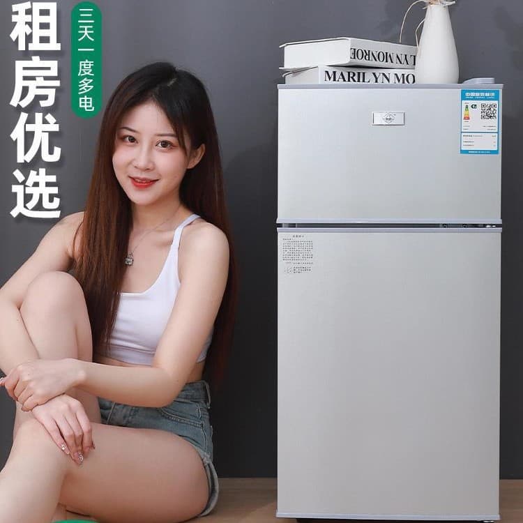 Small Refrigerator Household Compact Dorm Rental Freezing Refrigerated Mini Double Door Electric Fridge First-Class Energy Saving
