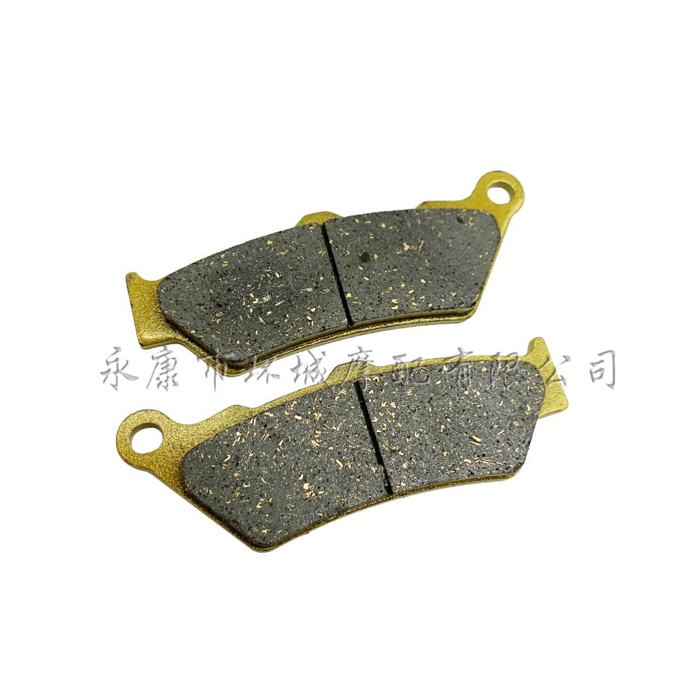 Motorcycle brake pads for water bird 13-20 years R1200GS/R1200RT sintered front disc brake.