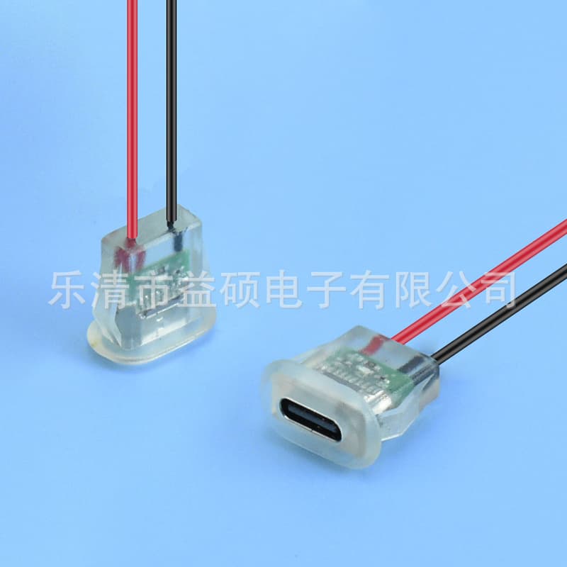 LN-03 USB-C 2P Direct Press Injection Waterproof Female Connector Transparent Phone Charging Port for Automotive