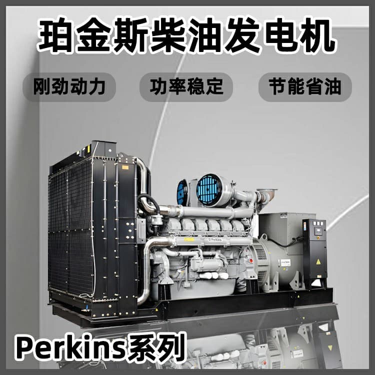 Cross-border Customized Silent Diesel Generator Set Project Large Factory Perkins 2000KW Diesel Generator