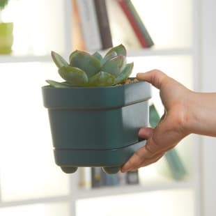 Thickened Plastic Four-Leg Square Pot, Self-Watering Automatic Flower Pot for Home Strawberry Planting, Succulent Self-Absorbing Planter
