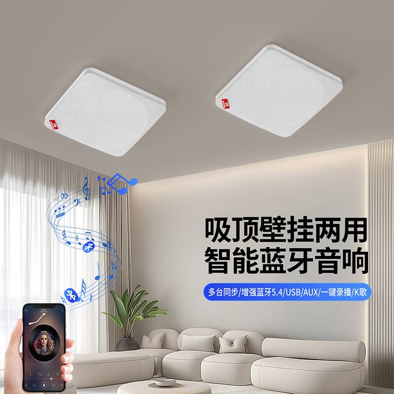 Cross-border Store Commercial Wireless Bluetooth Wall-mounted Ceiling Speaker Recording Advertising Speaker Smart Store Payment Audio