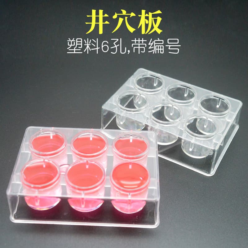 Plastic well plate, 6-hole well plate, well plate with number, drip plate, experimental supplies, teaching equipment