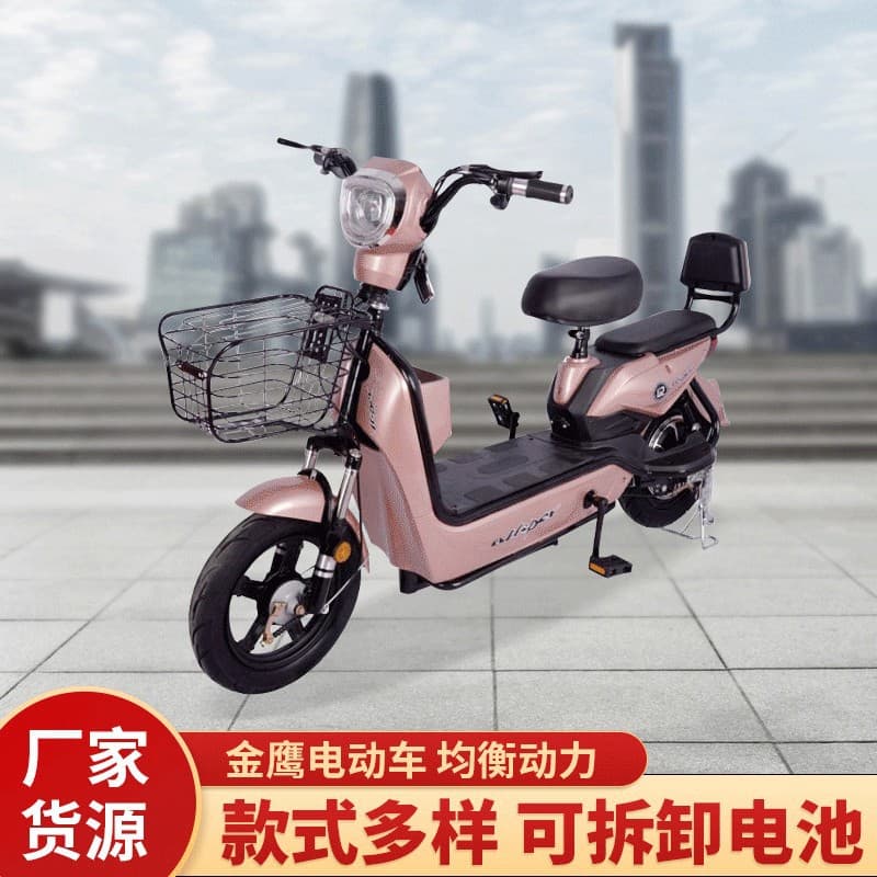 Cross-border Factory Golden Eagle Electric Bicycle New National Standard Electric Moped