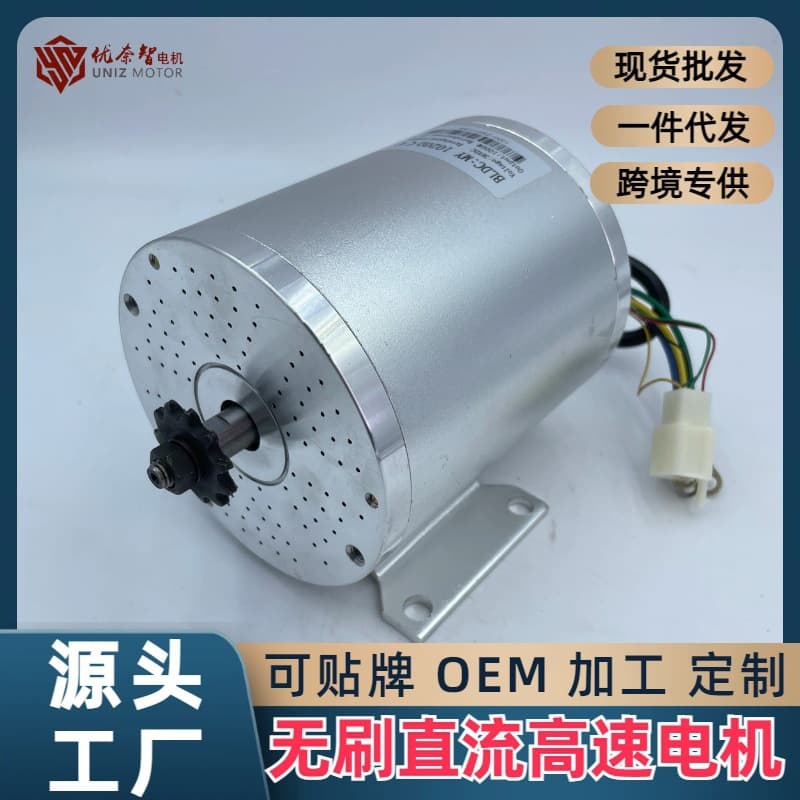 Electric Motorcycle Brushless Motor High Speed 48V 1000W 2000W Beach Buggy BM1109 Electric Vehicle Motor