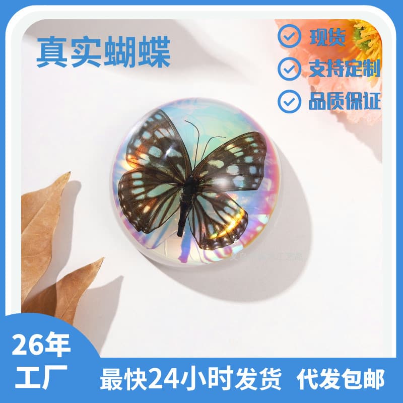 Realistic Handmade Butterfly Specimen Display Acrylic Shell Crystal Filled Educational Enlightenment Children's Science Net Blind Box