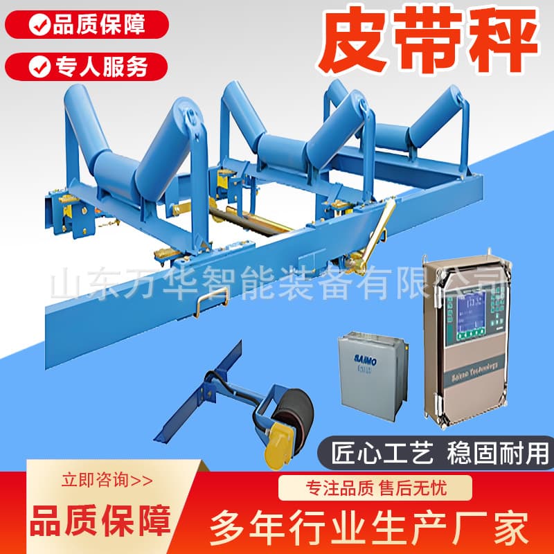 Mining Electronic Belt Scale Docks and Ports Batching Weighing Scale Quantitative Feeder Belt Scale Speed Adjustable Belt Weigher