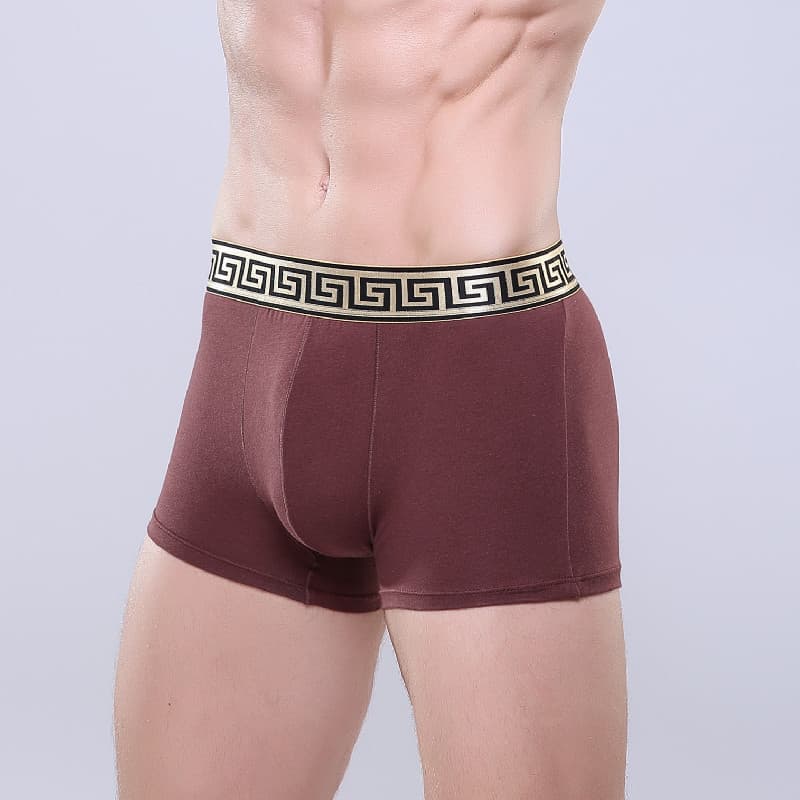 Factory Wholesale High-Quality Men's Cotton Boxer Briefs Sexy Business Casual Solid Color Short Underwear Hot Selling