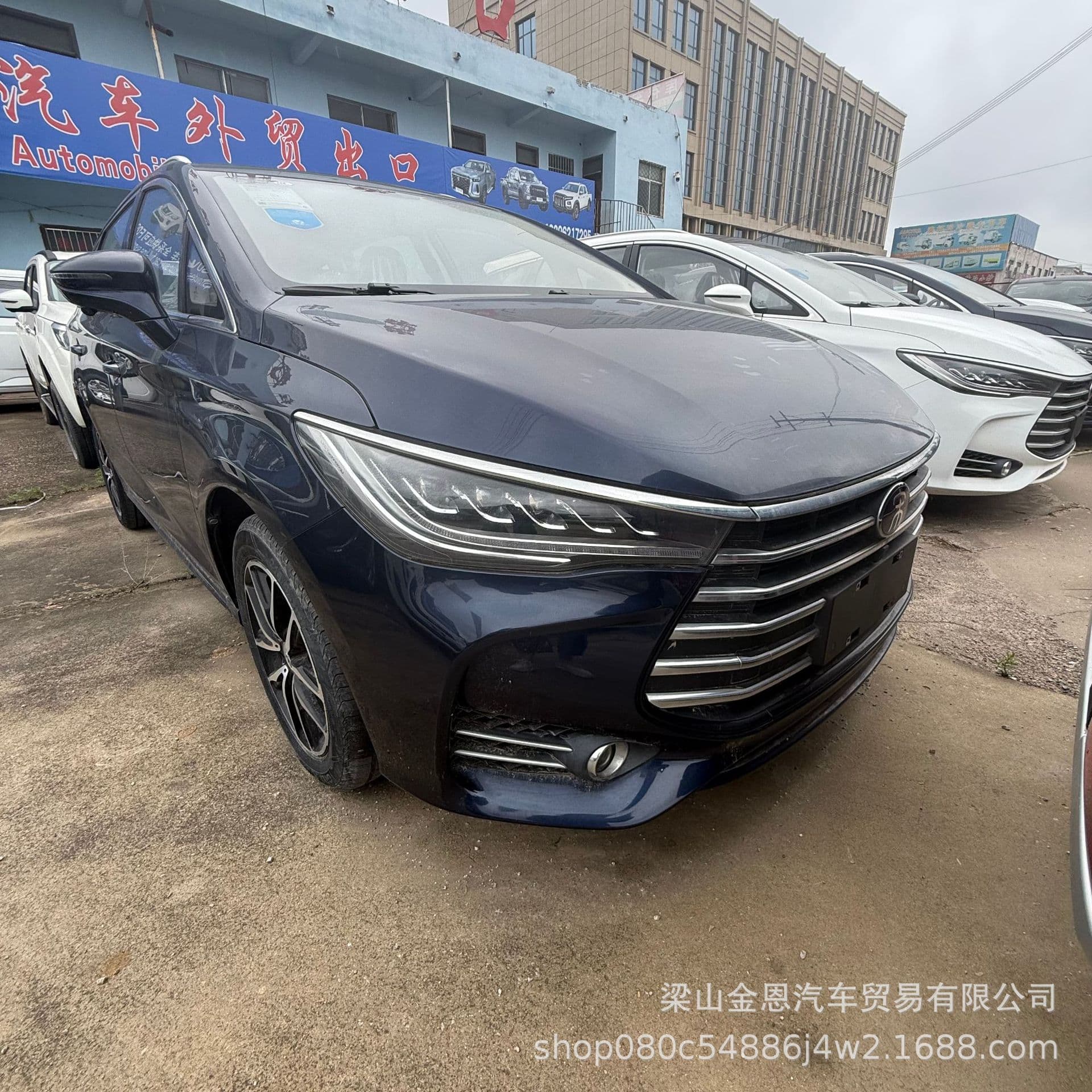 5-Seat 7-Seat Small Family Car BYD Automobile Extended Spacious Space Export Car