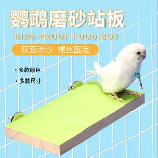 Parrot Rest Solid Wood Perch Platform Sanding Claw Beak Bird Stand for Cockatiel Budgie Lovebird Accessories