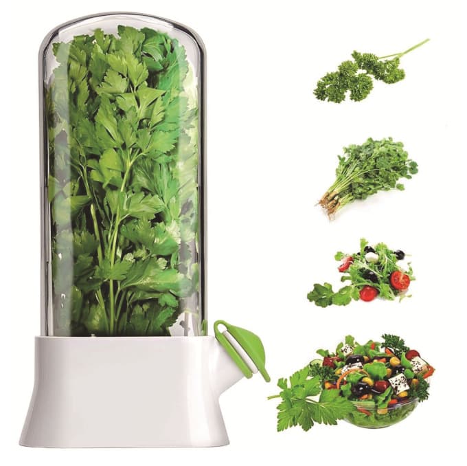 Cross-border herb vegetable storage box, anti-crushing environmental protection storage box, creative coriander storage cup manufacturer wholesale