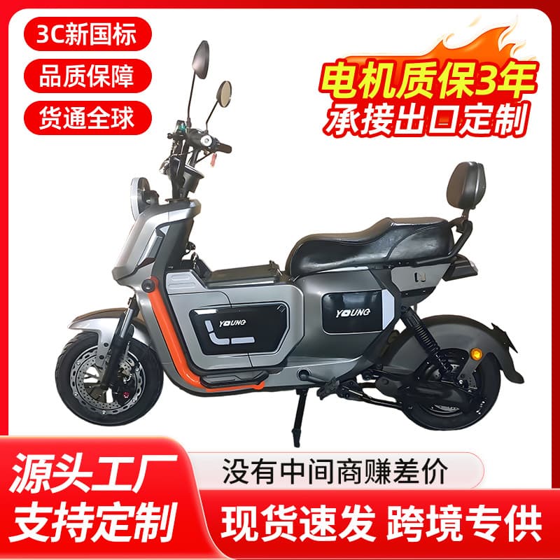 Electric Bicycle for Adults, Two-Wheeled Commuter E-Bike, New National Standard, Double Seat, Lightweight, Wholesale
