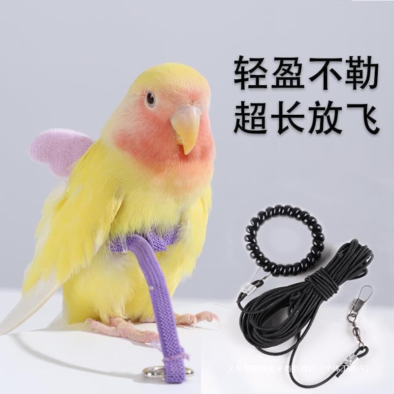 Flying parrot black phoenix leash for outing birds with peony rope to fly toys supplies walking bird tiger skin China
