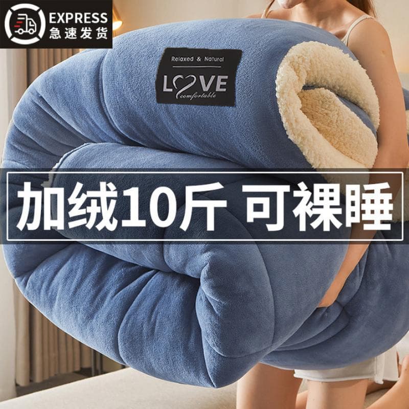 Winter lamb velvet winter quilt thickened warm plus velvet quilt core double cotton quilt bedding winter single dormitory bed