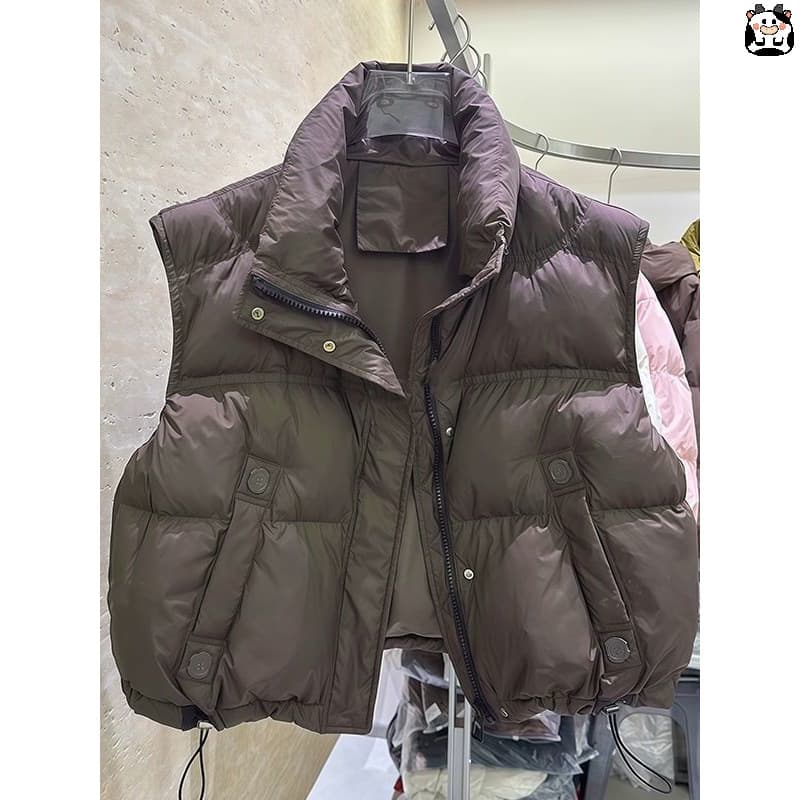 Stylish loose and youthful sleeveless vest padded down cotton jacket for women, trendy default option Southeast Asia