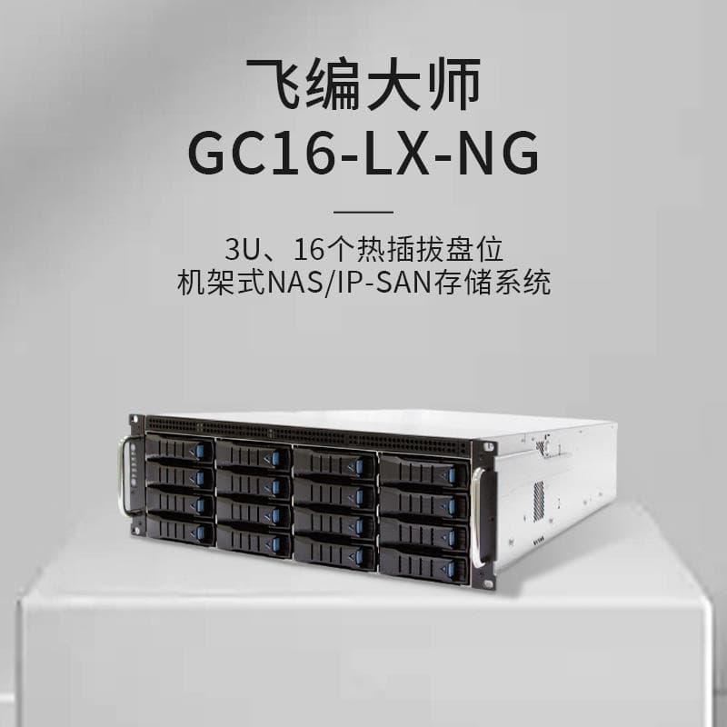 FlyComp Master GC16-LX-NG Domestic 10GbE Disk Array Enterprise Network Storage