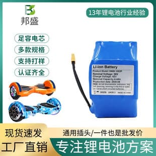Electric Self-Balancing Scooter Battery 36V Drift Universal Alrlang Two-Wheel Hoverboard Lithium Battery Pack Charging Battery 42V