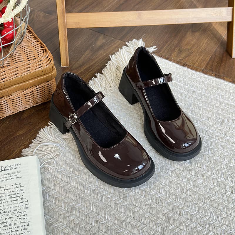 Fashionable Round Toe Thick Heel Single Shoes for Women Mary Janes Retro French Style High Heels Spring Autumn Season Synthetic