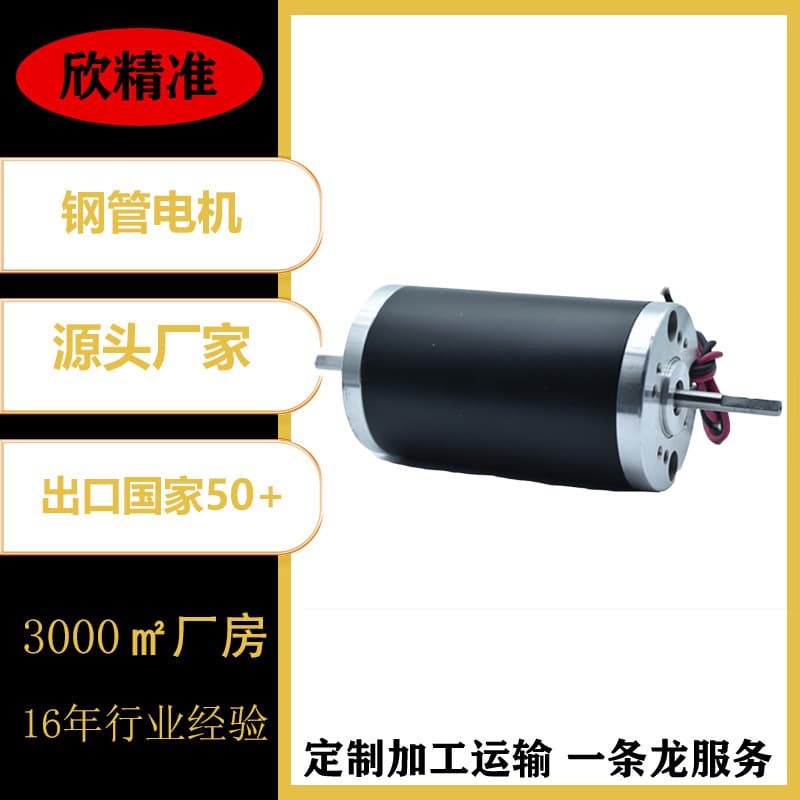 60 DC Brushed Steel Tube Motor for Massager, Children's Car, Power Tools, Door Opener, Medical Machinery Motor