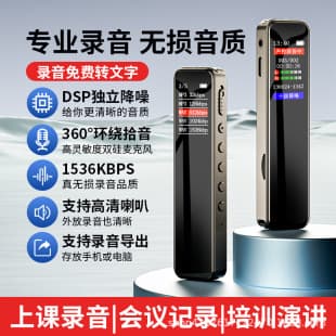 Professional High-Definition Noise Reduction Voice Recorder Factory Wholesale with Long Standby and Large Capacity