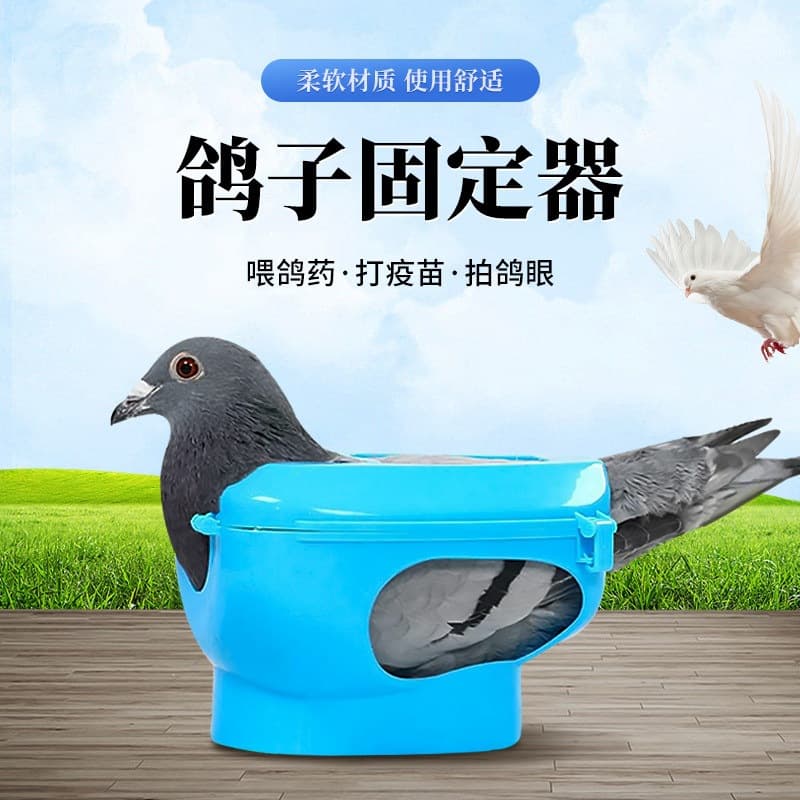 Pigeon Supplies Fixing Stand and Box, Pigeon Medicine Feeder, Pigeon Eye Viewer, Racing Pigeon Liquid Supplement Tool