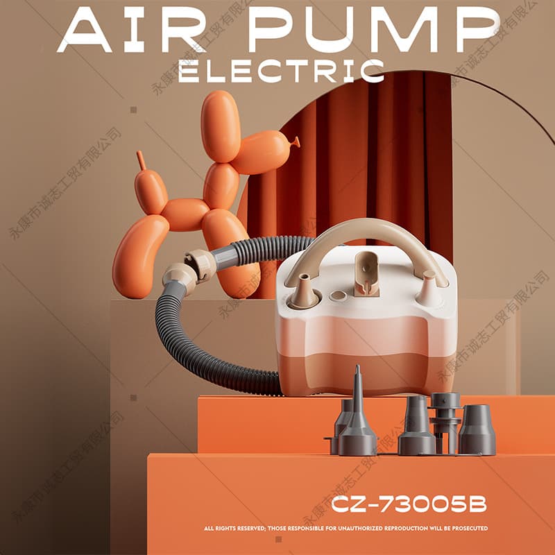 Outdoor Home Electric Air Pump, Small Fast Inflation and Deflation Dual-Use 110V-240V Portable Electric Pump Wholesale