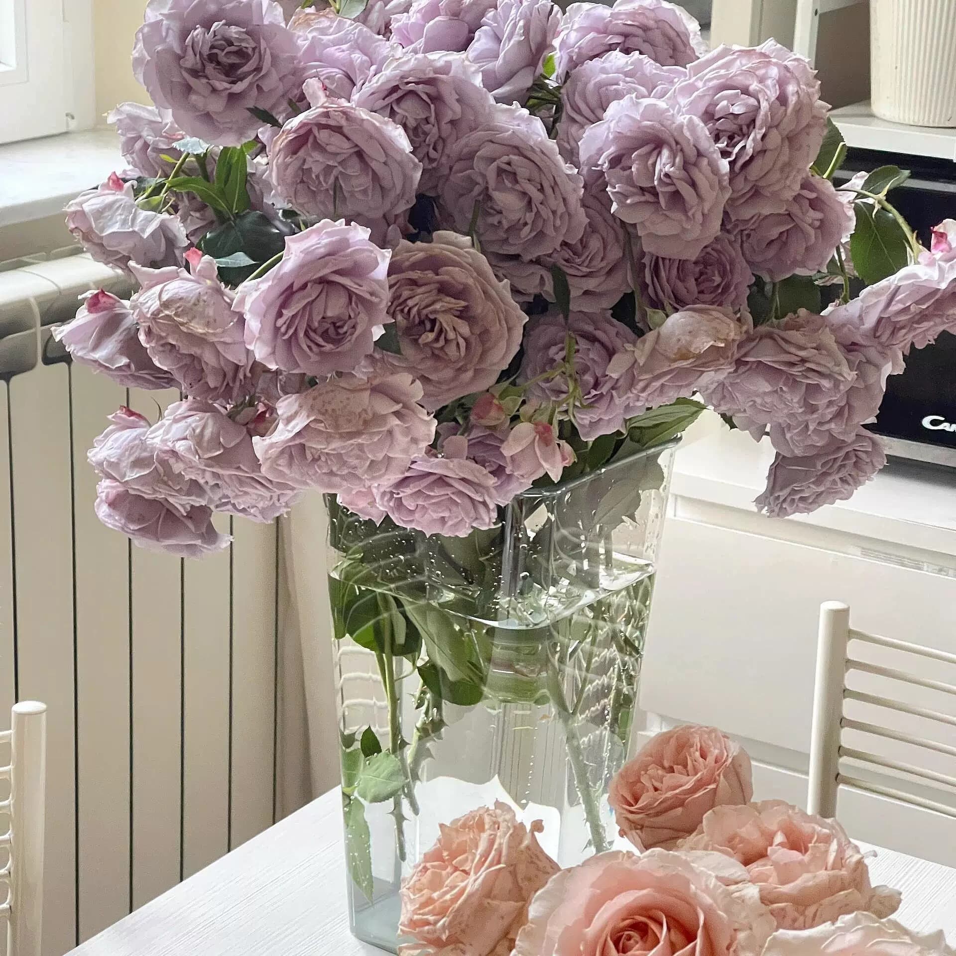 Factory Direct Acrylic Deep Water Revival Bucket Tall Vase for Flower Shop Fresh Flowers Large Transparent French Style