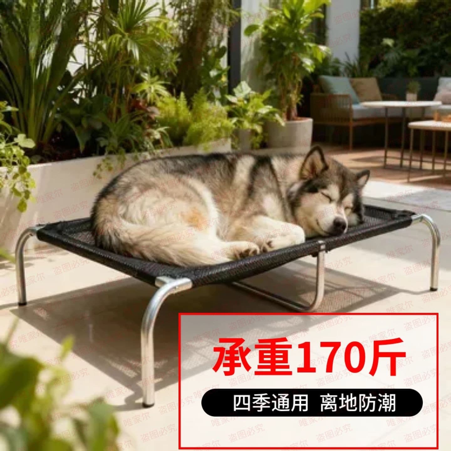 Elevated Dog Cot Pet Bed for Large Dogs, Thickened Dog Bed for All Seasons, Removable and Washable