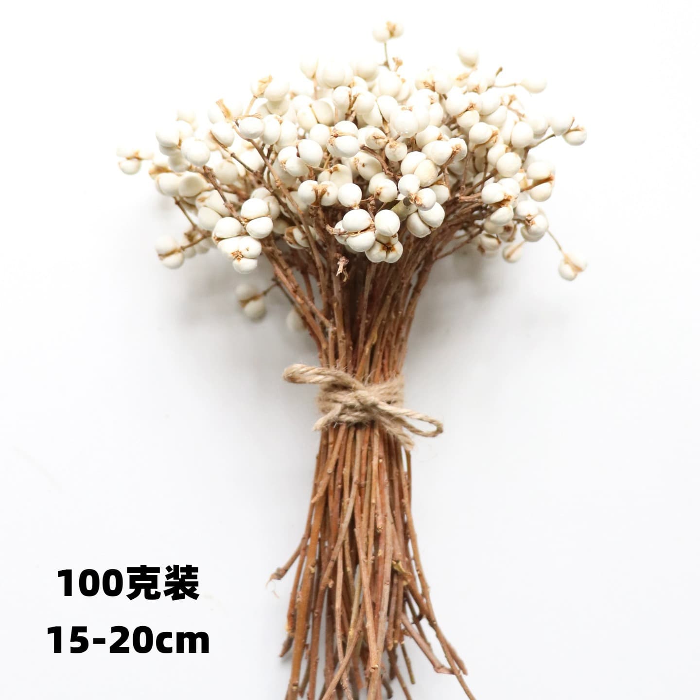 Small White Fruit Dried Flowers - Naturally Air-Dried Coix Fruit, Tallow Fruit, White Rice Fruit, DIY Dried Flower Materials Wholesale