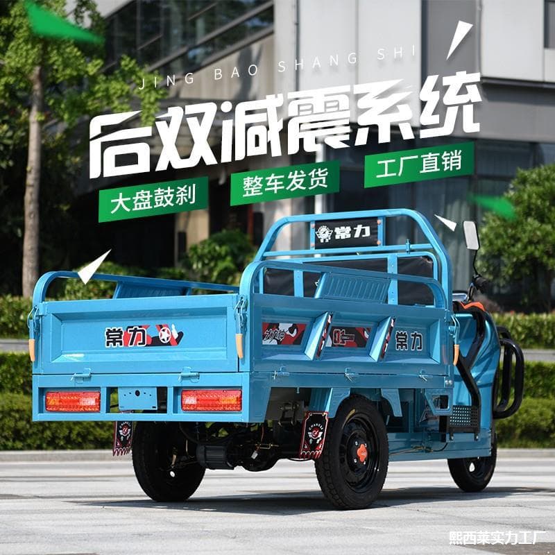 Three-Wheel Electric Cargo Tricycle for Adults, Delivery, Commuting, New Electric Battery