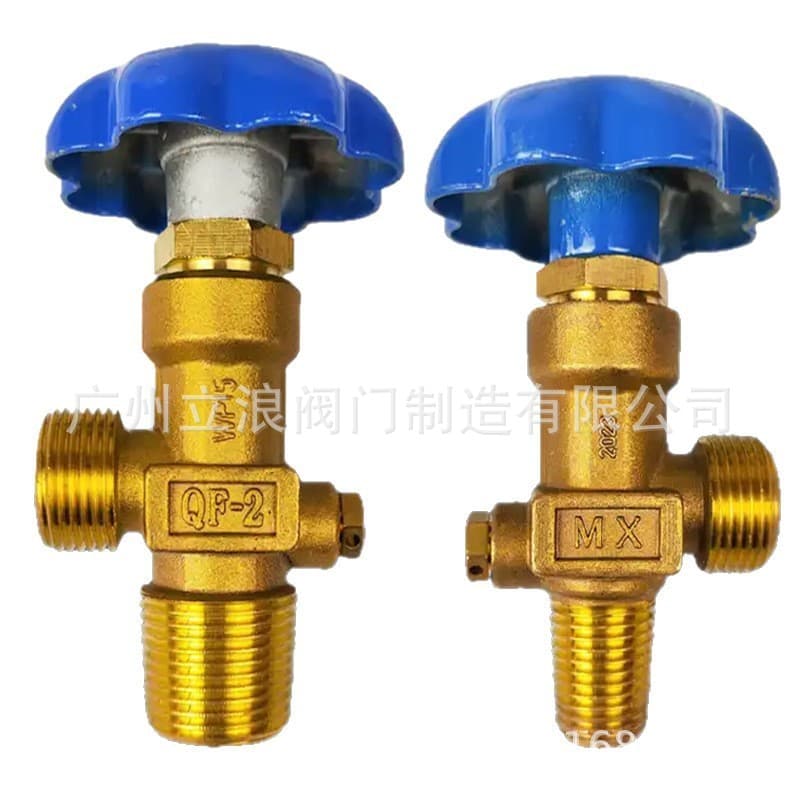 Factory Price Sale High-Quality QF-2 Cylinder Valve