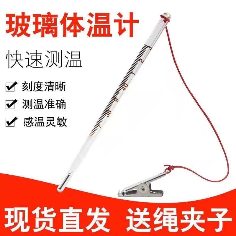 Mercury Veterinary Thermometer High-Precision Glass Pet Pig Cattle Sheep Mercury Thermometer Pig Thermometer