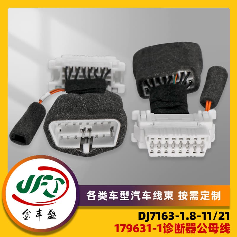 Processing customized car 179631-1 diagnostic device male and female wire DJ7163-1.8-11/21 car waterproof wiring harness
