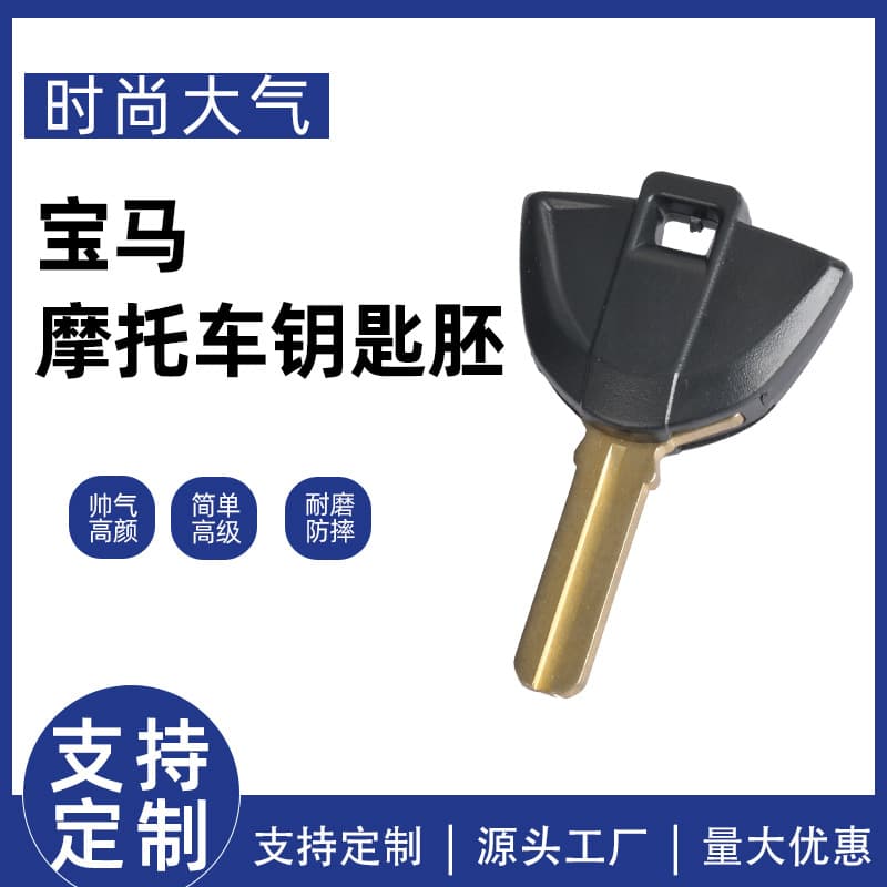 New BMW Motorcycle F800GT R1200R R1200GS Water Bird Oil Bird Key Blank Chip Key