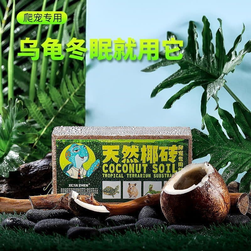 Tortoise hibernation supplies reptiles coconut soil coconut brick sand reptile pet tortoise hatching winter mat Brazilian moss