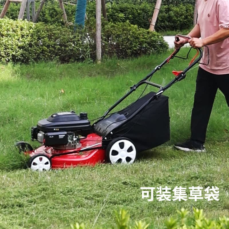 Gasoline lawnmower, push lawnmower, lawn trimmer, orchard self-propelled lawn mower, lawn mower, grass pusher