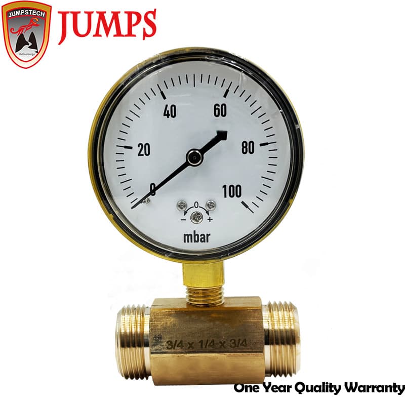 Factory Supply YE60 Capsule Pressure Gauge 100mbar Low Pressure Micro Pressure Air Pressure Gauge Radial Mount Capsule Structure