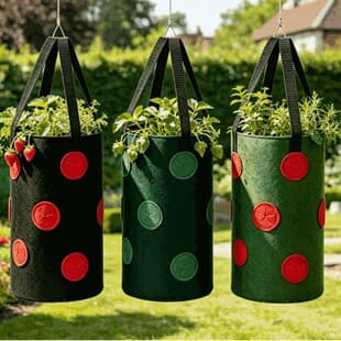Hot Selling on eBay & Amazon Non-Woven Planting Bag Seedling Bag Multi-Port Strawberry Planting Bag Thickened Planting Bag