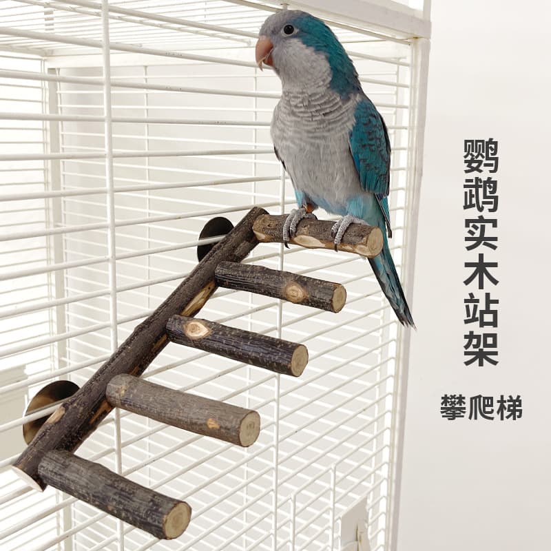 Solid Wood Multi-layer Step Ladder For Small Medium Parrots Fixed Bird Climbing Ladder Scratching Supplies Wood Station Pole