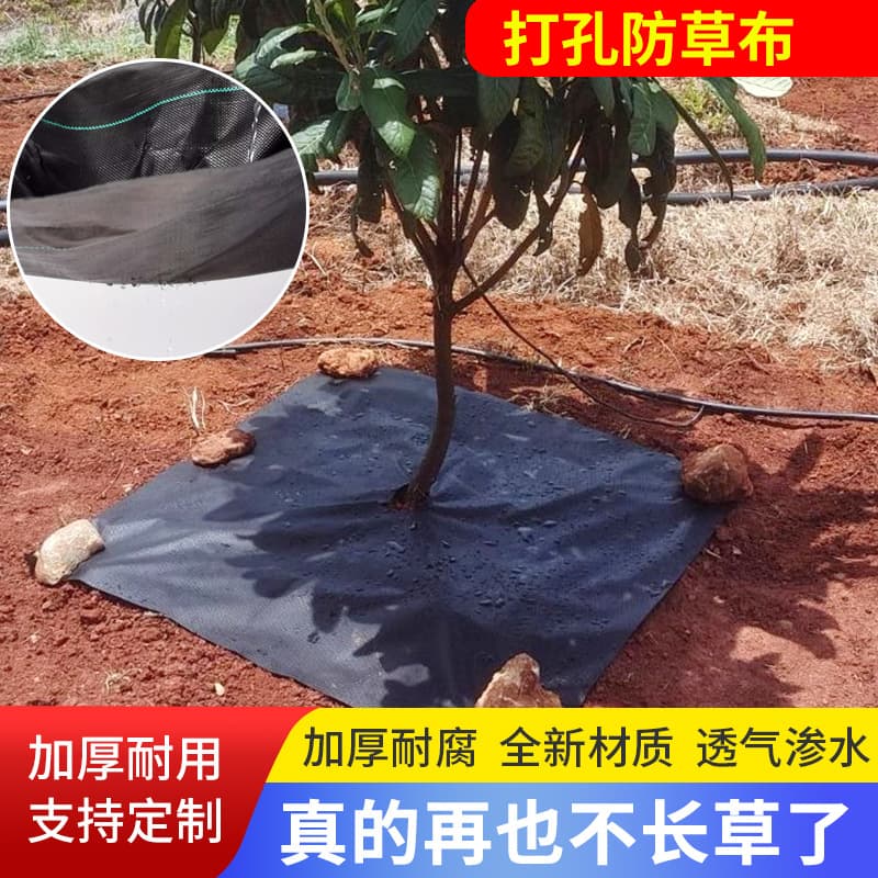 Perforated Slit Ground Cover Cross-border Supply Wholesale Manufacturer Weed Barrier Fabric Cut and Perforated for Fruit Trees Greenhouses Agricultural and Flower Use