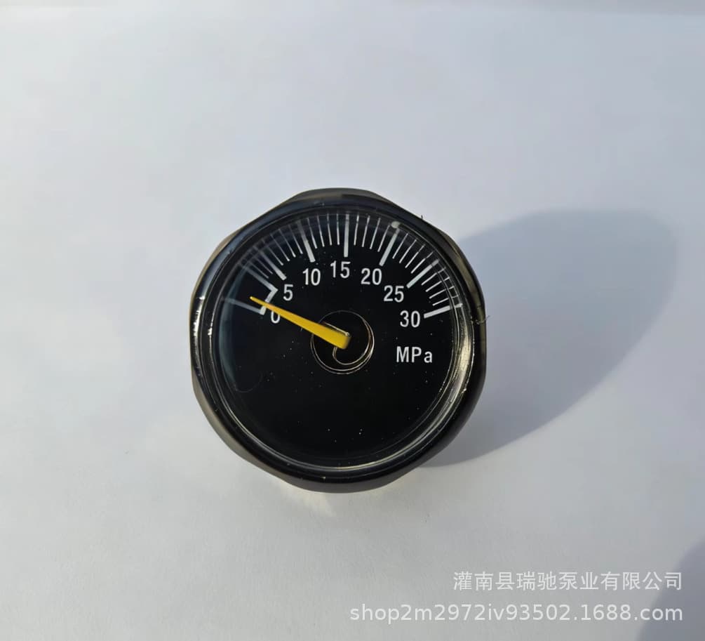 High-Pressure Pump Pressure Gauge Luminous Pressure Gauge Small Measuring Gauge 25MM 3MPA 5MPA 10MPA 20MPA