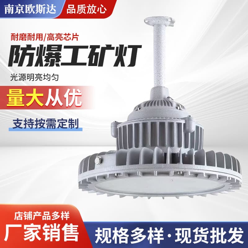 Circular Explosion-Proof Light, Flameproof Industrial and Mining Lamp for Workshop Warehouse Gas Station Lighting, Industrial Grade LED Light