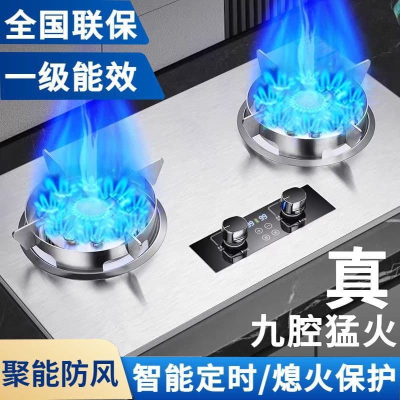 High power household timer gas stove for LPG and natural gas, large panel dual burner built-in or desktop stove.