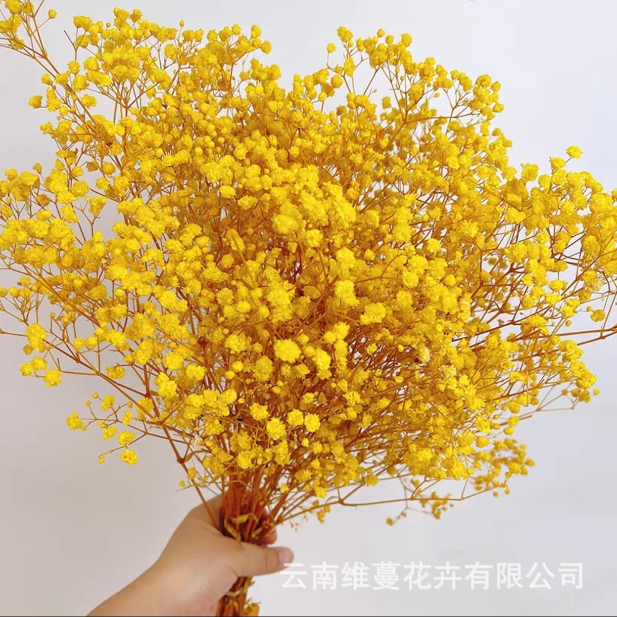 Baby's Breath Preserved Flowers, Dried Flowers, Yunnan Factory Direct, DIY Cross-border, Preserved Flowers, Wholesale Bouquets from Manufacturer