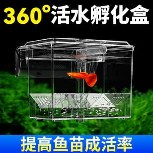 Guppy Isolation Breeding Box, Fry Breeding Incubator, Fry Hatchery Box, Livebearer Birthing Tank, External Aquarium Breeding Box