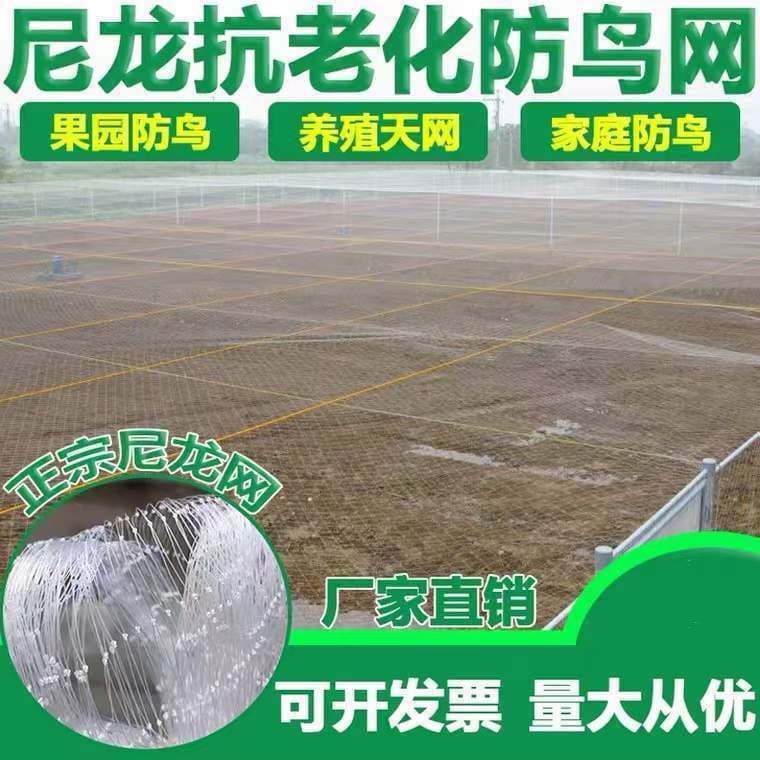 Alibaba-1688 product cannot be viewed or has been removed