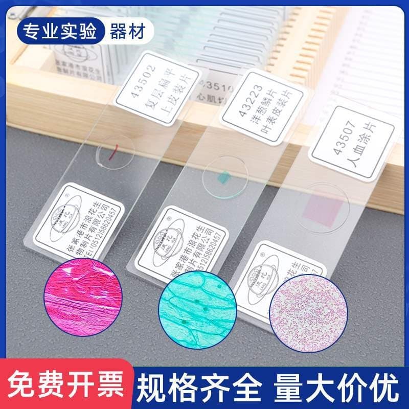 Biological experiment slices, four major tissues of the human body, nerve cells, insect specimens, muscles, human blood smears, plants