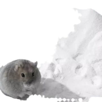 Hamster Bath Sand Supplies Complete Set, Urine Sand 2-in-1, Syrian Hamster Toilet Urine Sand, Bath Sand for Chinchilla